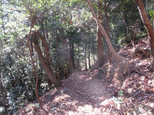 登山道